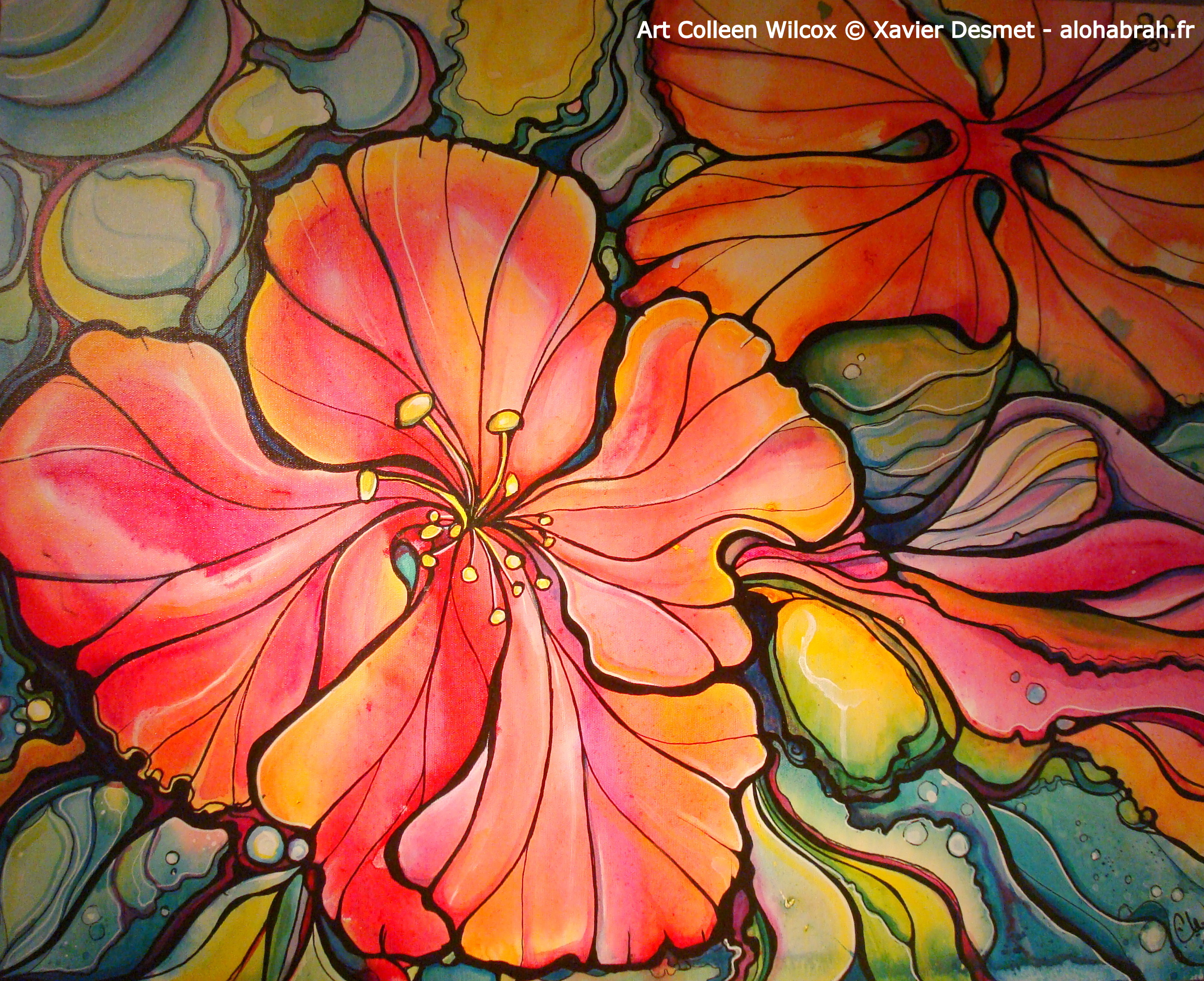 Hawaiian Flowers - Art Colleen Wilcox © Xavier Desmet - alohabrah.fr