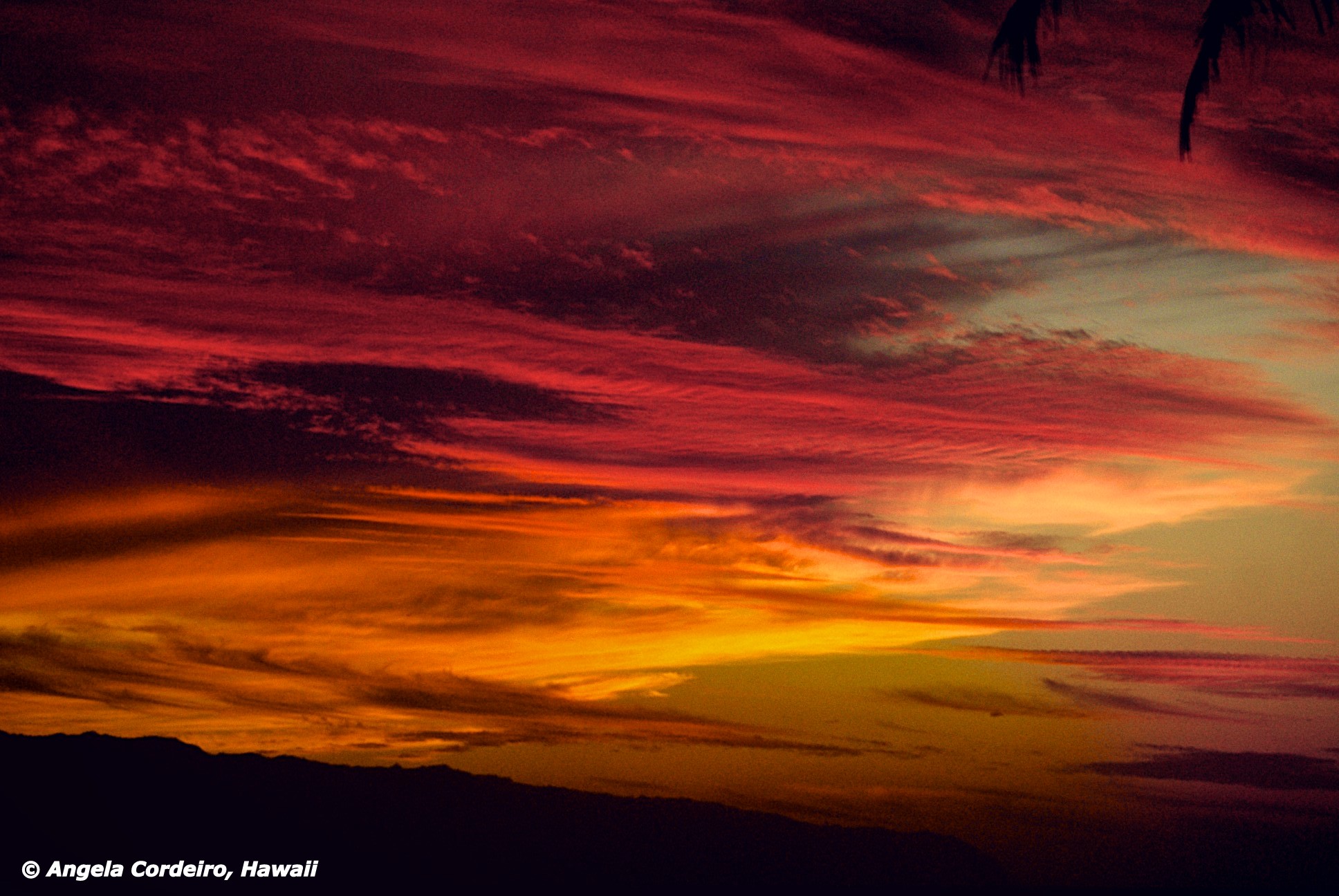 Hawaiian Sunset - © Angela Cordeiro