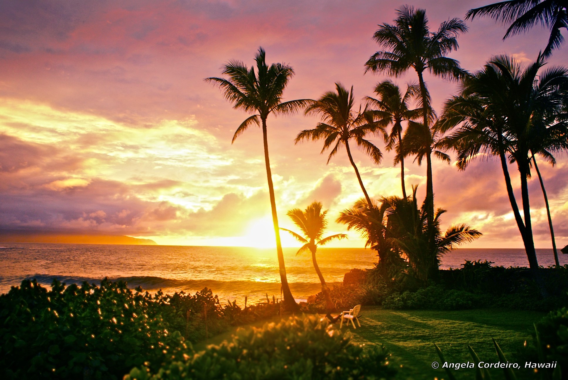blessed © Angela Cordeiro - Hawaii, Waimea Bay