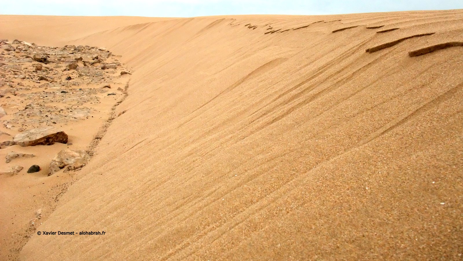 Dune Macro Effect © Xavier Desmet - alohabrah.fr