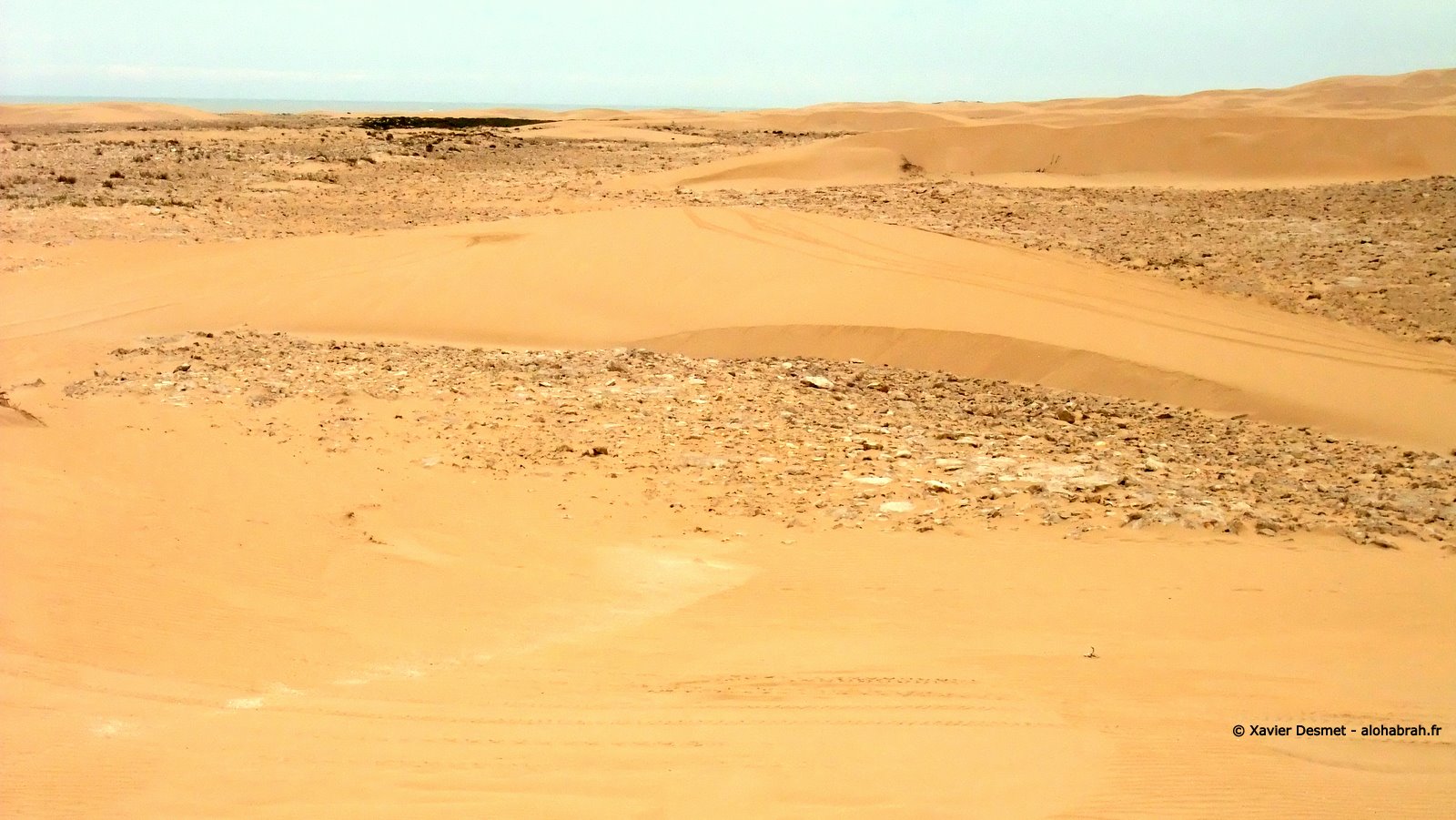 Et non loin des spots se trouve aussi des bandes de sables désertiques typique des paysages du Maroc intérieur © Xavier Desmet - alohabrah.fr