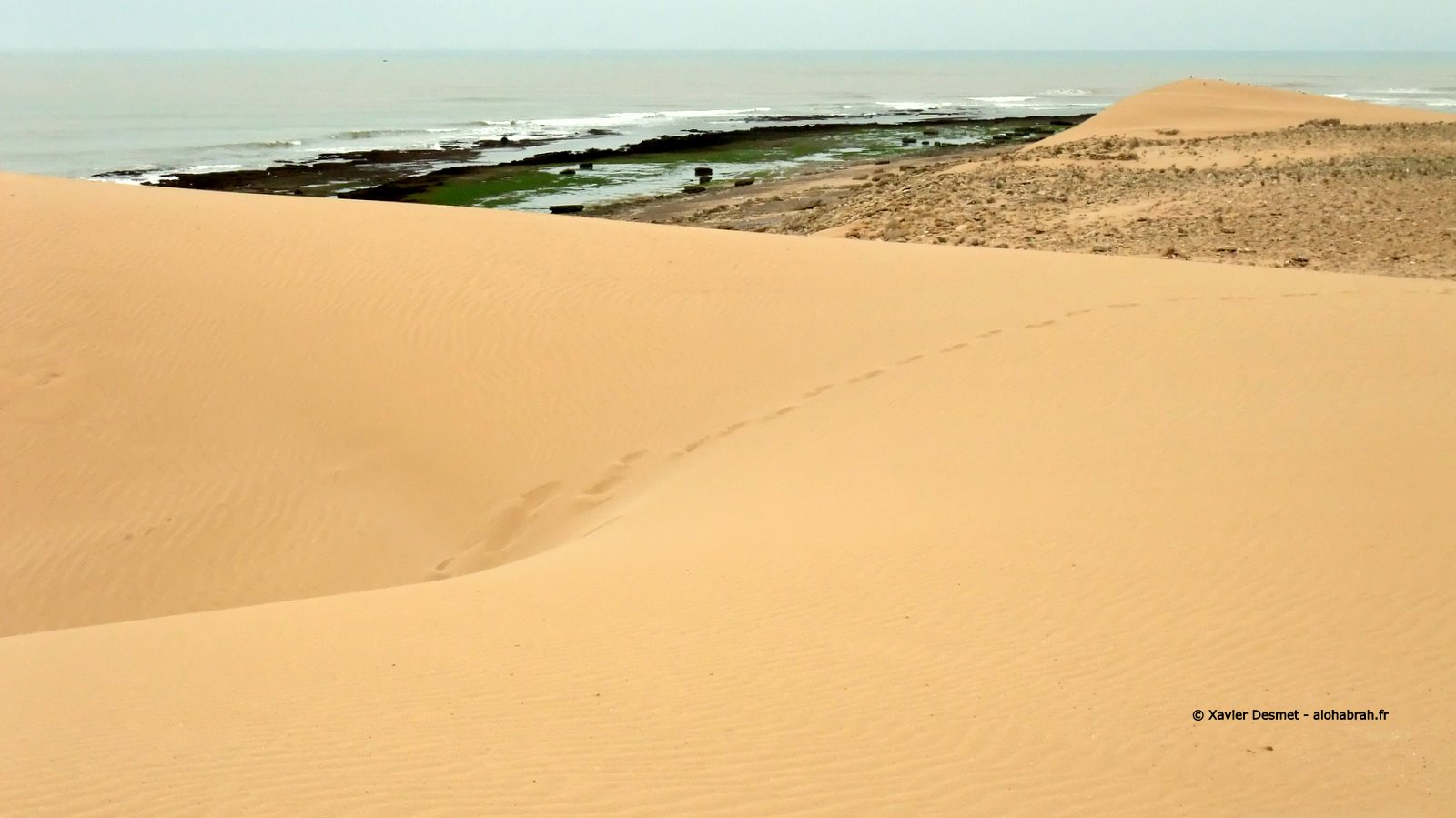 Un banc de sable désertique au pied de potentiels spots de surf © Xavier Desmet - alohabrah.fr