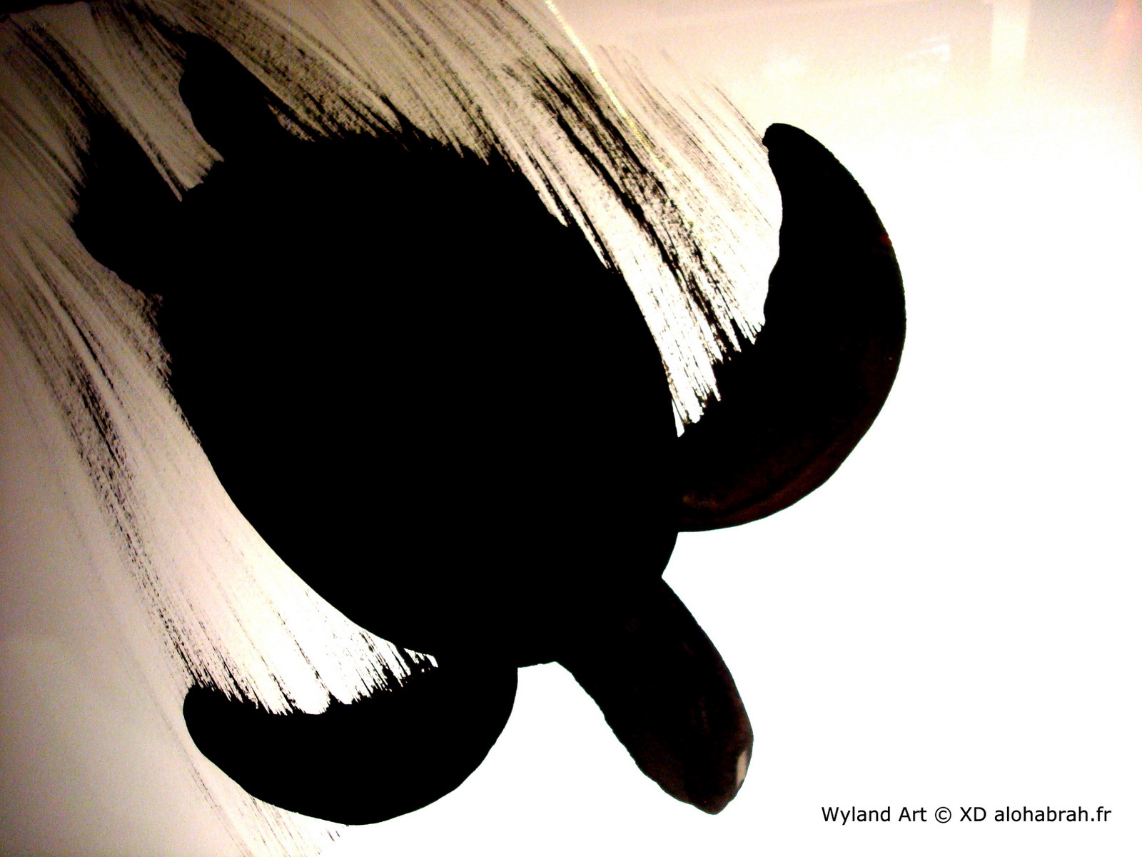 Black Turtle in light - Wyland Art © XD alohabrah.fr