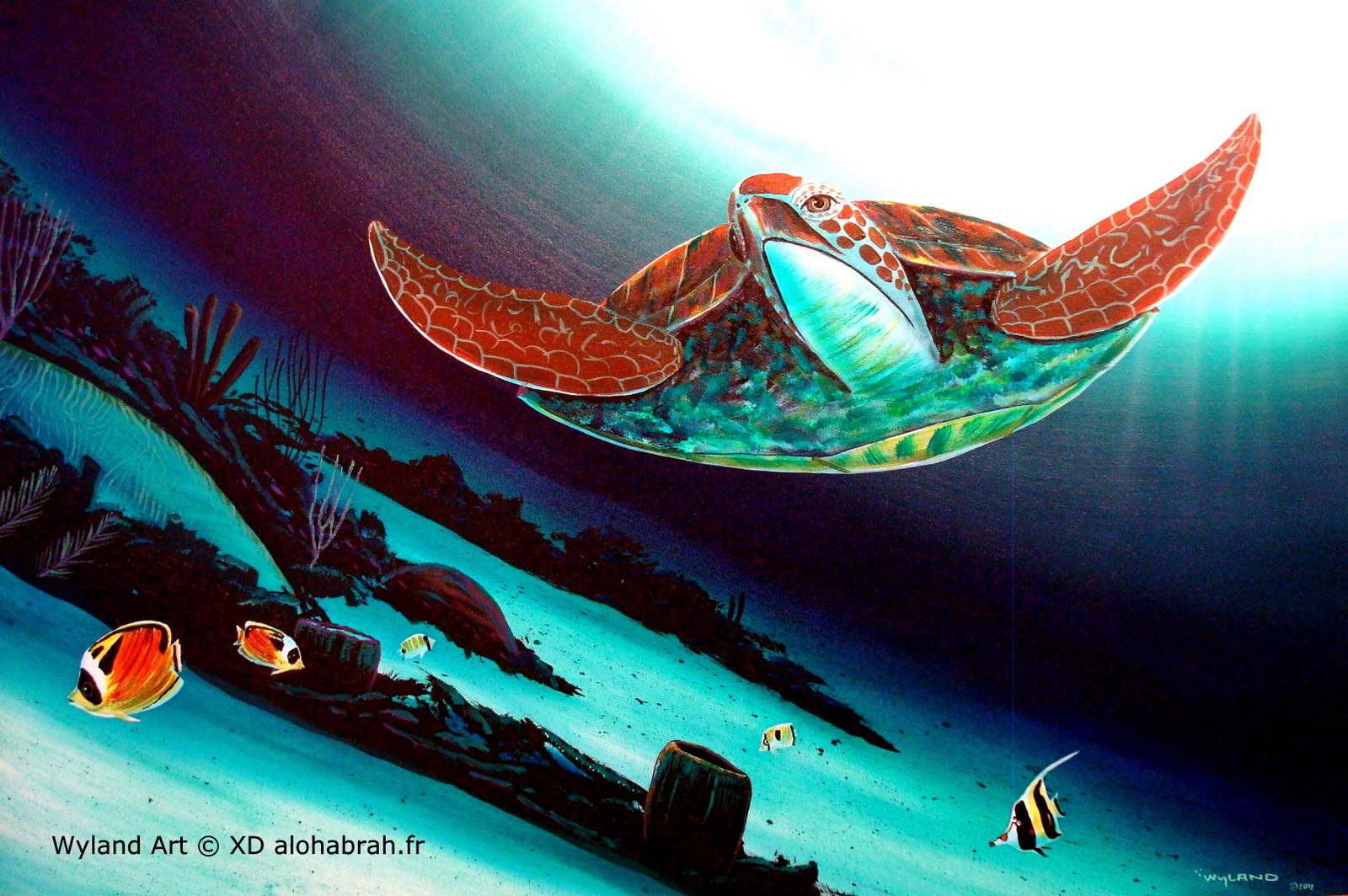 Hawaiian turtle - Wyland Art © XD alohabrah.fr