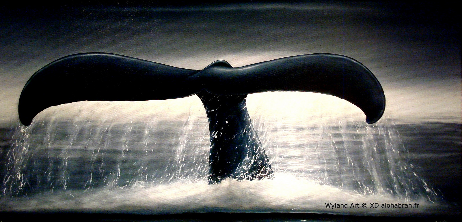 Wale Fin 02 - Wyland Art © XD alohabrah.fr
