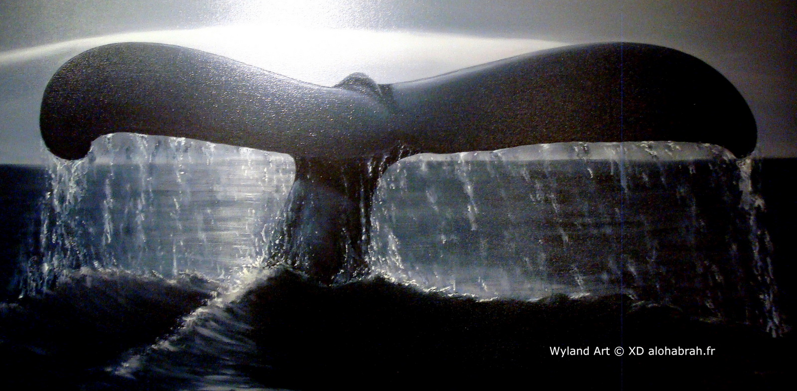 Wale Fin - Wyland Art © XD alohabrah.fr