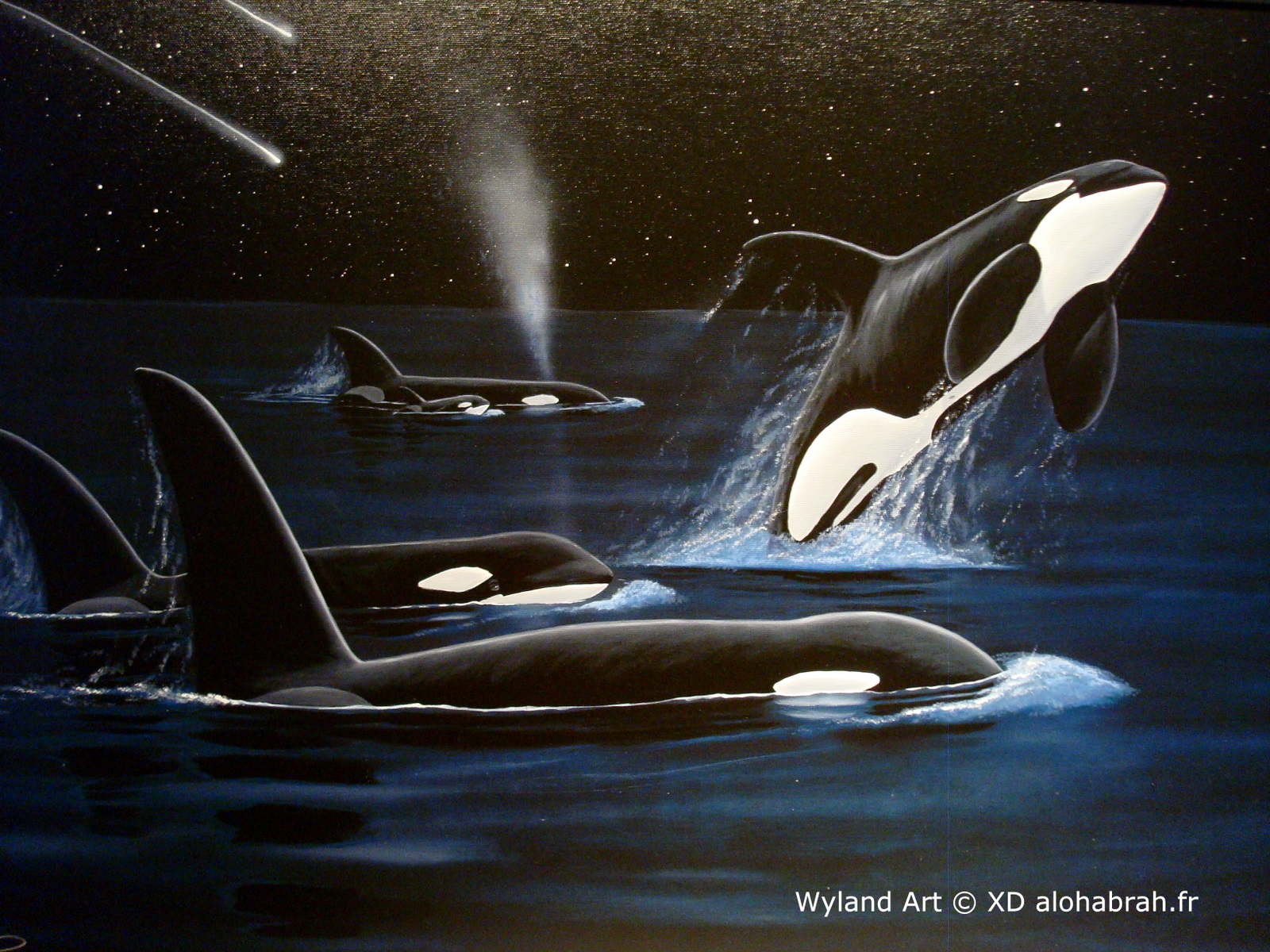orques - Wyland Art © XD alohabrah.fr